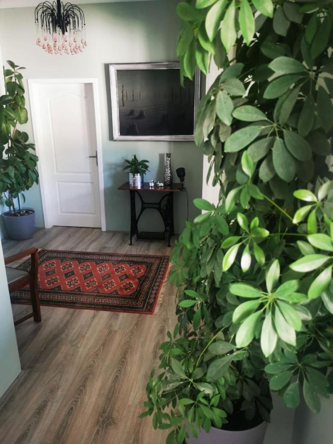 Sombor 19 Central Apartment Екстер'єр фото