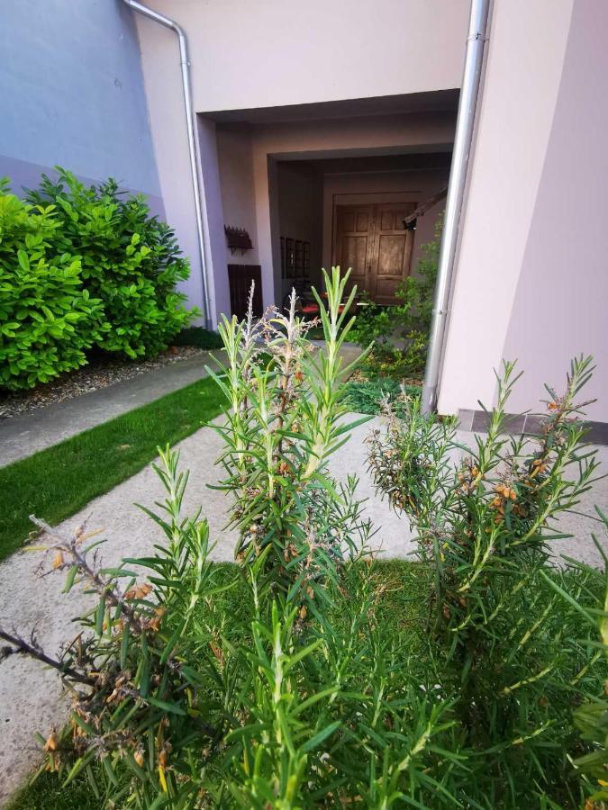 Sombor 19 Central Apartment Екстер'єр фото